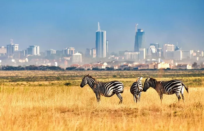 Nairobi National Park 1 1 Jpg