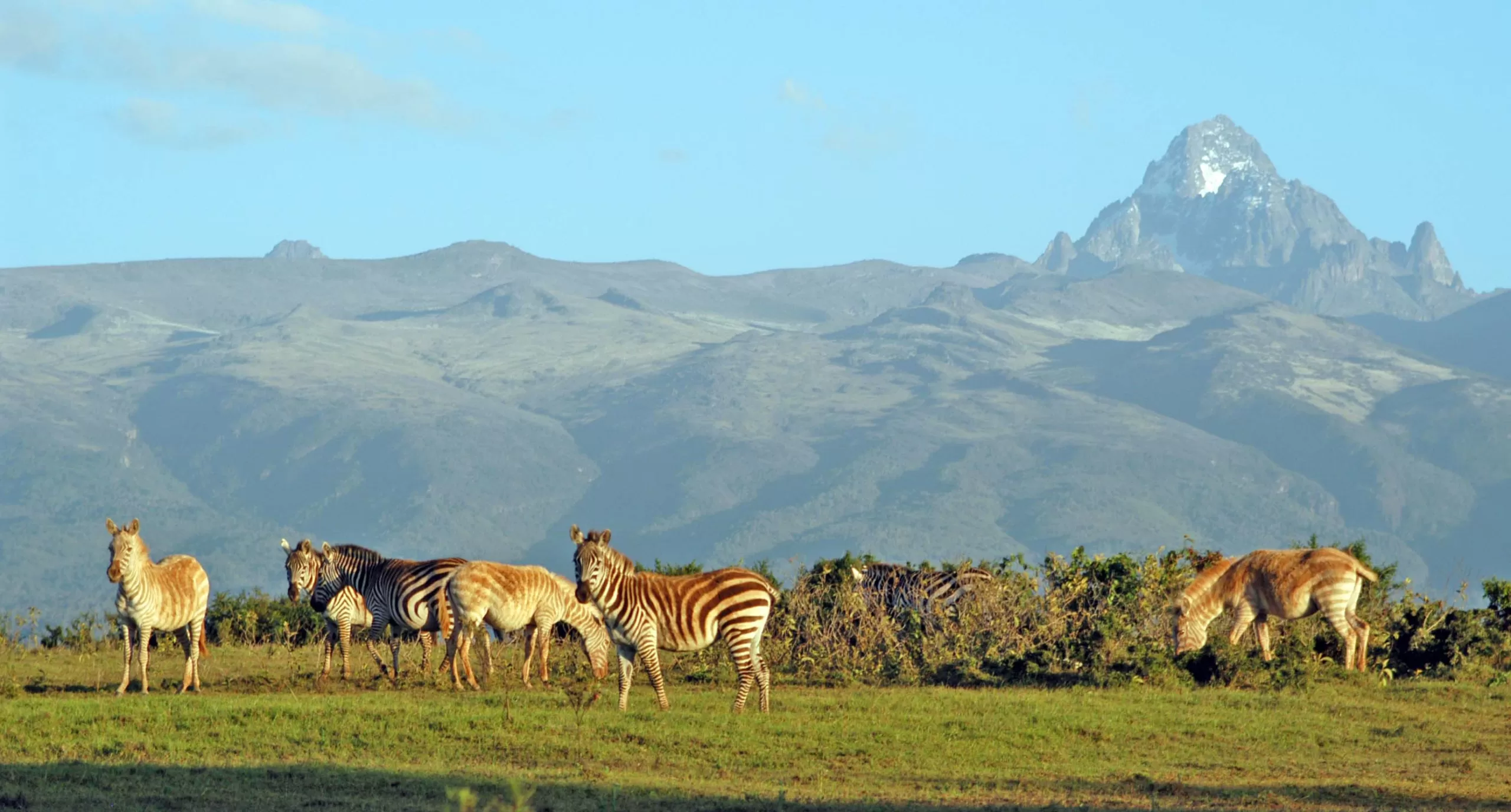 Mount Kenya National Park 1 Scaled