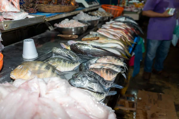 Depositphotos 663731184 Stock Photo Seafood Market Latin America Fresh