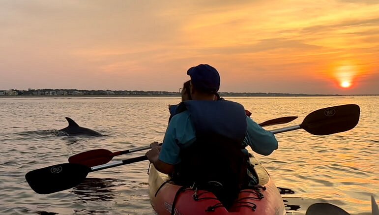 Dolphin Watching Virginia