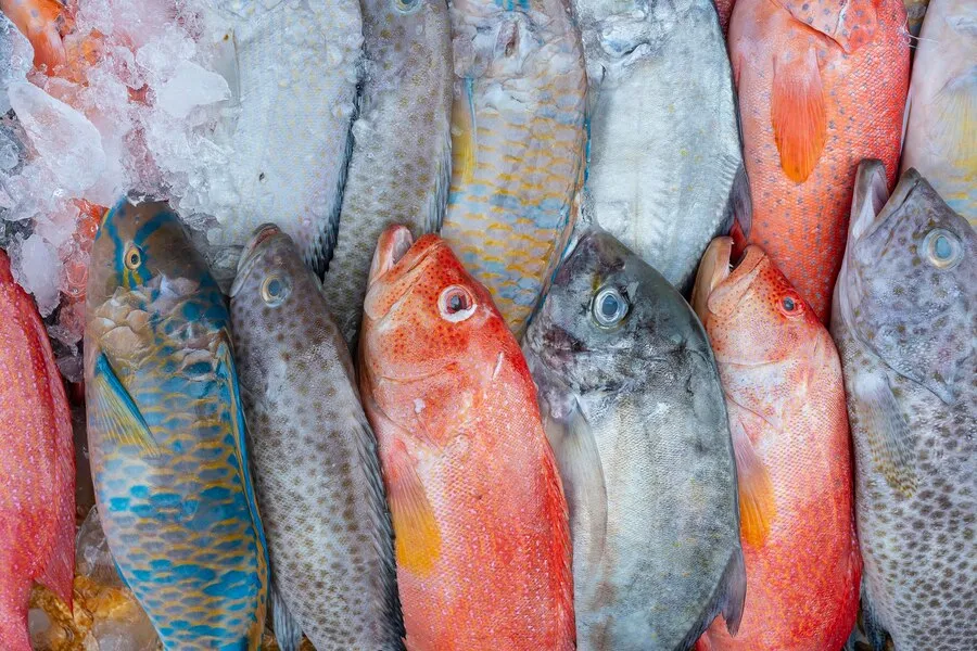 Fresh Sea Fish Sell Street Food Market Borneo Malaysia Close Up Seafood 185094 5844