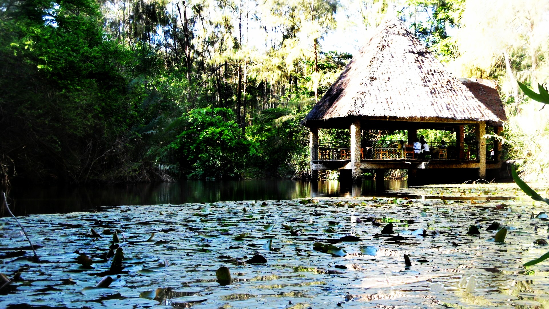 Haller Park Mombasa