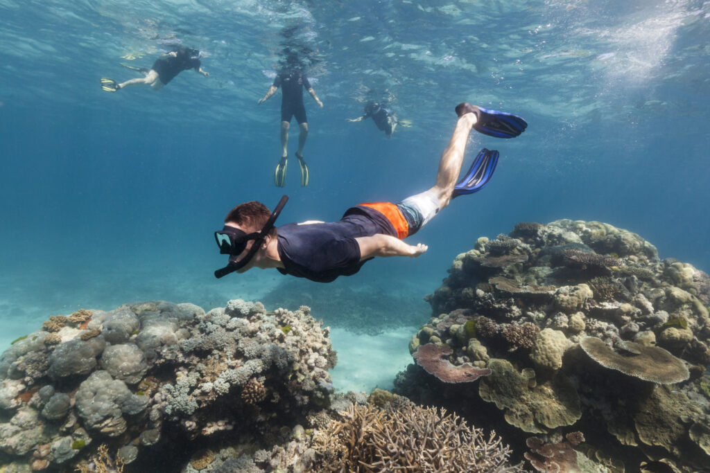 2021 TNQ PortDouglas CalypsoReefCruises DivingSnorkelling AndrewWatson 146902