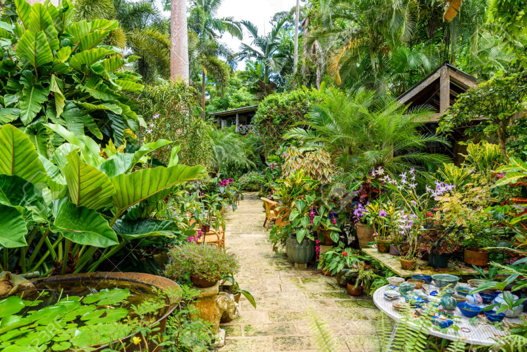 97559004 Huntea´s Botanical Garden On The Caribbean Island Of Barbados It Is A Paradise Destination With A