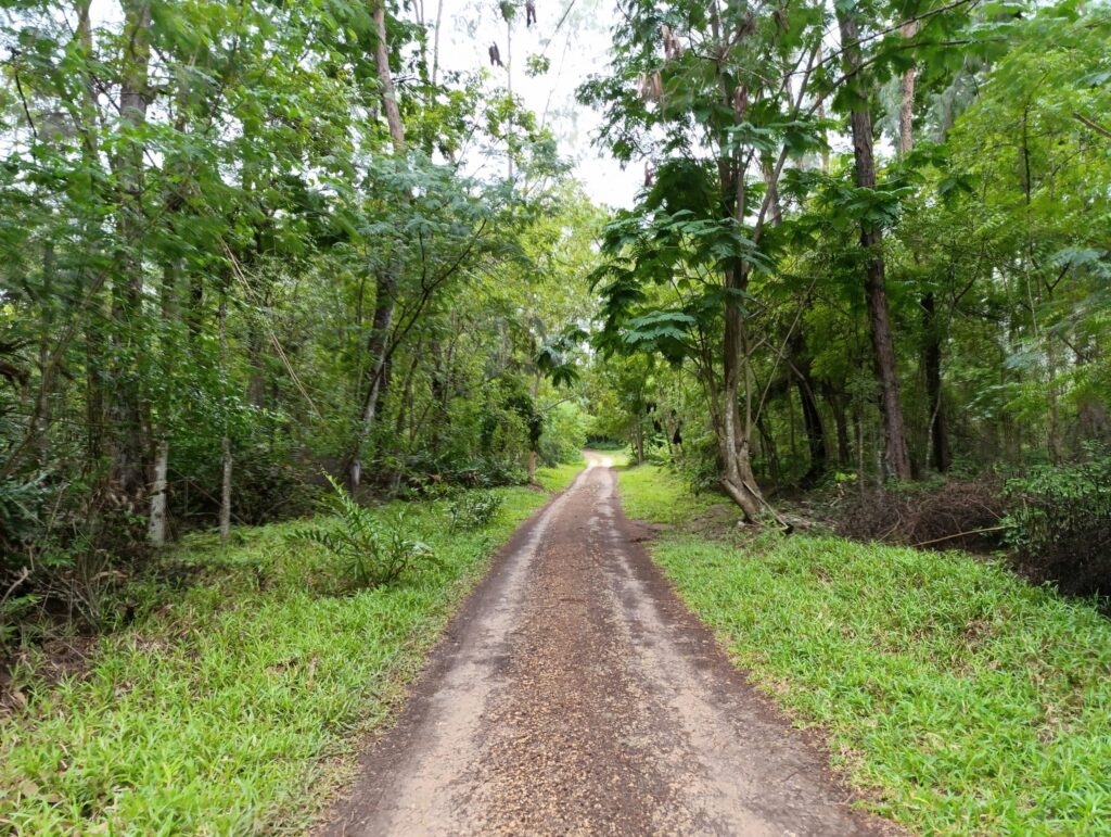 Bamburi Forest Trails 9 Scaled 1