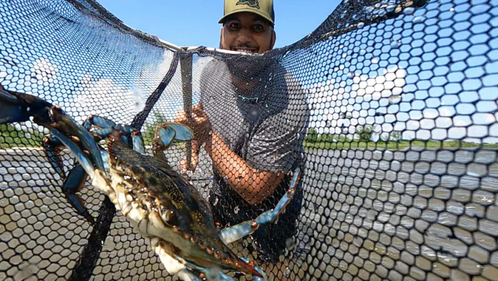 Man With Crab In Net Web Cc620c0e 30db 4b76 8f86 8e5cb81067e3