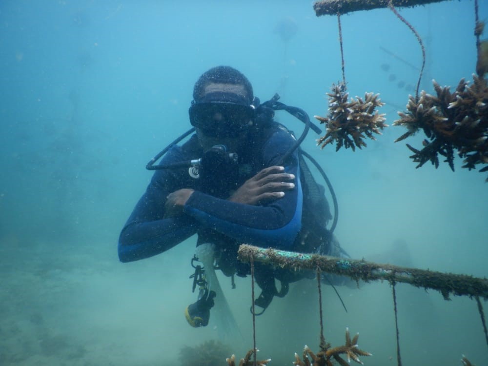 Mkwiro Photo 1 Diver From Mkwiro Team