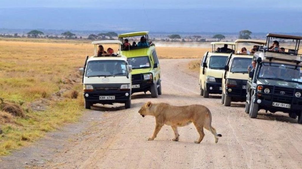 Tsavo East National Park Game Drive 1024x575 1