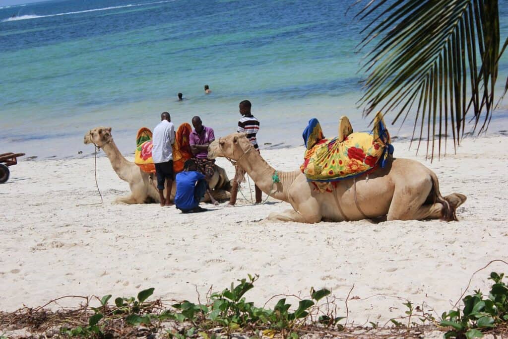 Bamburi Beach 1024x683 1