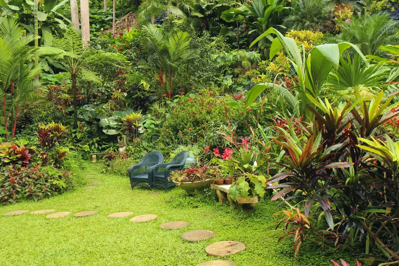 Botanical Garden Barbados Caribbean Lush 46311153