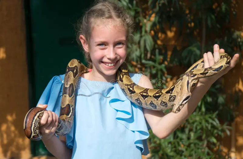 Girl Holding Snake Cute Little Girl Holding Snake Her Hands 132001545