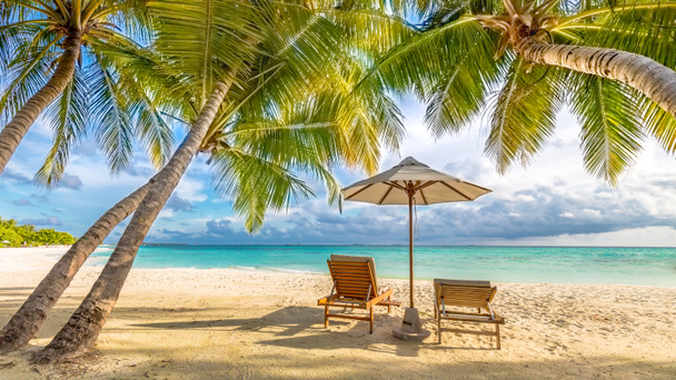 Stock Photo Beautiful Tropical Sunset Scenery Two Sun Beds Loungers Umbrella Palm