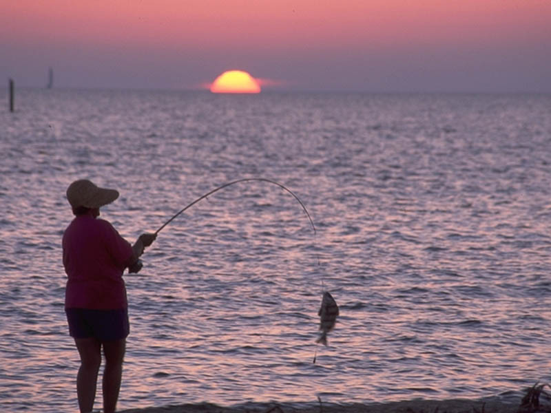 Sunset Surf Fishing 800x600 1